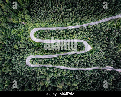 Curved road trough the forest. Aerial view. Stock Photo
