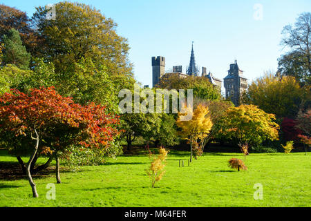 Bute Park with sunlit trees in vibrant autumn colours and Cardiff Castle in the background. Stock Photo