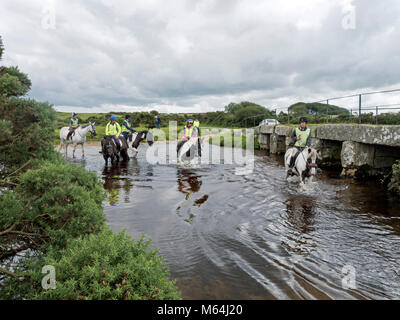 Horses crossing river at Delford Bridge, Bodmin Moor, Cornwall Stock Photo