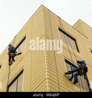 Two window washers at work. Windows washers abseiling down the sides of a building wall on small wooden seats to clean windows during winter in Tokyo Stock Photo