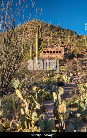 Historic restroom facility, built by Civilian Conservation Corps (CCC) in 1930's, Saguaro National Park, Sonoran Desert, Arizona, USA Stock Photo