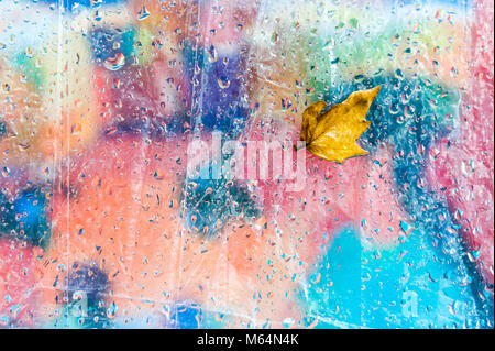Autumn leaf hanging on a plastic cover on a rainy day at Yerevan Vernissage a large open-air market in Yerevan, Armenia. Stock Photo