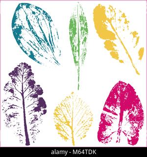 Vector branches and leaves.Hand drawn floral elements. Vintage botanical illustration.Stamp of multi colored leaves on a white background. Stock Vector