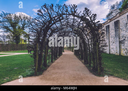 Ivy Archway on Belvedere Palace in Potsdam Stock Photo