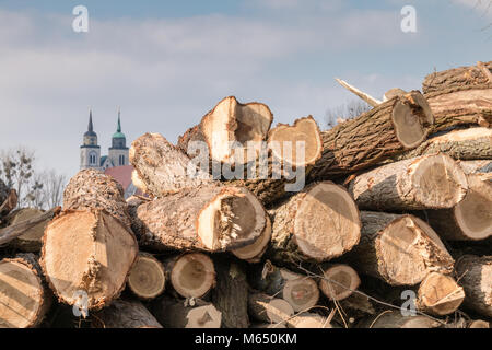 Magdeburg, Germany - 28 February 2018: Sawed tree trunks with the St. John's Church of Magdeburg in the background, Germany. Stock Photo