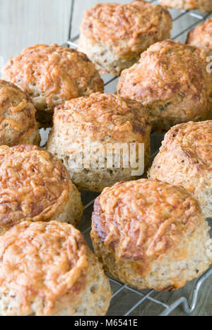 Freshly baked cheese scones cooling on a wire tray. Stock Photo