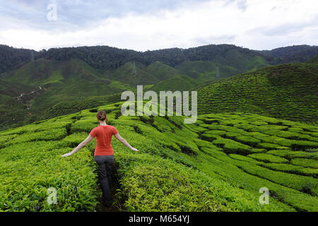 Western woman in orange outfit walking among tea fields on tea plantations in Cameron Highlands, Malaysia. Stock Photo