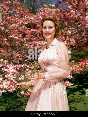 1950s 1960s YOUNG RED HAIRED WOMAN POSING UNDER BLOSSOMING DOGWOOD TREE LOOKING AT CAMERA - kb3105 HAR001 HARS RURAL GROWNUP HEALTHINESS ONE PERSON ONLY HOME LIFE NATURE COPY SPACE HALF-LENGTH LADIES GROWN-UP NOSTALGIA EYE CONTACT 20-25 YEARS 25-30 YEARS YOUNGSTER HAPPINESS CHEERFUL STYLES BLOSSOM REDHEAD HAIRED POSING SMILES JOYFUL FASHIONS RED HAIR BLOSSOMS MID-ADULT MID-ADULT MAN SPRINGTIME BLOSSOMING CAUCASIAN ETHNICITY DOGWOOD LOOKING AT CAMERA OLD FASHIONED PERSONS SHEER FABRIC Stock Photo