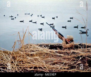 1960s MAN DUCK HUNTER SHOOTING AT DUCKS WITH SHOTGUN FROM BLIND DECOYS ON WATER - kd310 HAR001 HARS HEAD AND SHOULDERS ADVENTURE LEISURE RELAXATION CAMOUFLAGE CHOICE EXCITEMENT POWERFUL RECREATION DECOY DECOYS ESCAPE FIREARM GROUP OF OBJECTS MALES MID-ADULT MID-ADULT MAN WATER FOWLING WILDLIFE CAUCASIAN ETHNICITY OLD FASHIONED PERSONS Stock Photo