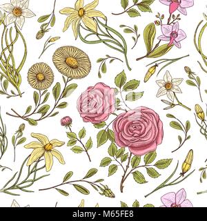 Seamless pattern. Roses with leaves and buds. Wedding botanical flowers in the garden or spring plant. ornament or decor. engraved hand drawn in old victorian sketch. Stock Vector