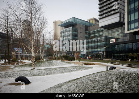 SALFORD QUAYS, MediacityUk gardens covered in snow in front of the BBC and Salford University offices Stock Photo