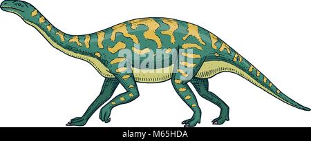 Dinosaurs Barosaurus, Apatosaurus, Tenontosaurus Plateosaurus, broad lizard, Massospondylus, Diplodocus, Brachiosaurus, skeletons, fossils. Prehistoric reptiles, Animal Hand drawn vector Stock Vector