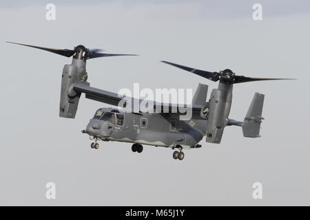 USAF Special Operations Command CV-22B Osprey from the Mildenhall based 7th SOS with the rotors tilted to hover and about to land.