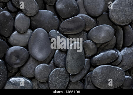 Wet beach rocks.  50.6 megapixel image Stock Photo