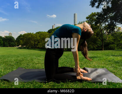 Young Caucasian Woman Practices Yoga In Central Park NYC While Wearing A Blue Top, Black Leggings and Barefoot Stock Photo