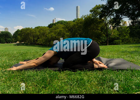 Young Caucasian Woman Practices Yoga In Central Park NYC While Wearing A Blue Top, Black Leggings and Barefoot Stock Photo