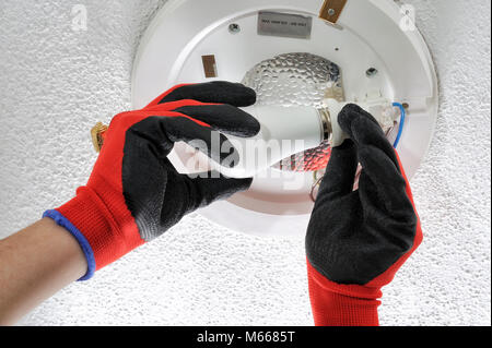 Electrician technician screws the low consumption led light bulb into a residential electrical system Stock Photo
