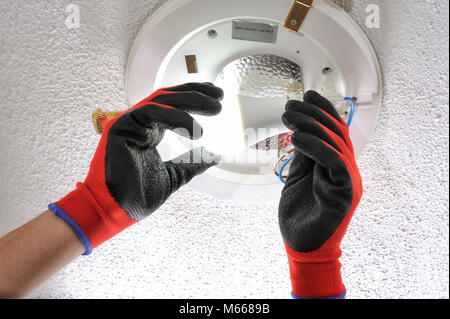 Electrician technician screws the low consumption led light bulb into a residential electrical system Stock Photo