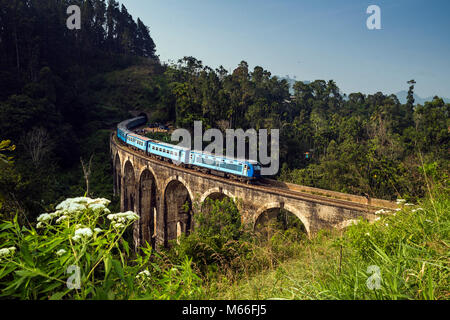 Train driving over Nine Arch Bridge, Ella, Uva Province, Sri Lanka Stock Photo