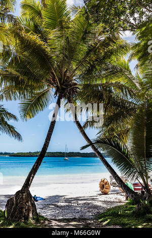 Tropical beach, Lifou, New Caledonia, France Stock Photo