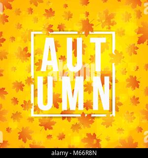 Background for the autumn projects. The maple leaves are falling. White square banner with text. Golden autumn. Vector illustration Stock Vector