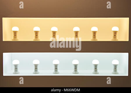 LED lamps for warm and cold light in showcase shop Stock Photo