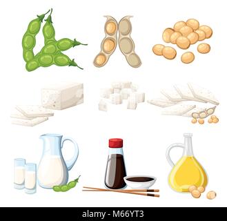 Set of soy products milk and oil in glass jug soy sauce in transparent bottle tofu and beans organic vegetarian food vector illustration isolated on white background web site page and mobile app Stock Vector