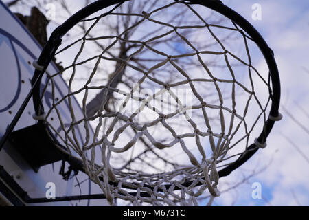 Basketball hoop hung on (attached) a tree Stock Photo