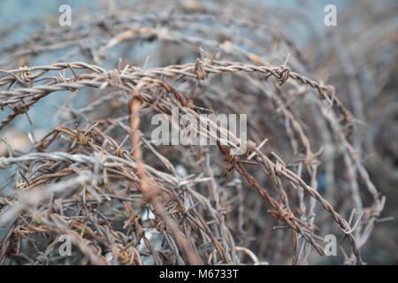 Close up of a roll of rusty barb wire Stock Photo