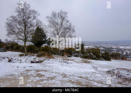 New Forest. 1st Mar, 2018. UK Weather: First day of spring in the New Forest Hampshire with snow from the beast from the east. Credit: © Paul Chambers / Alamy Stock Photo/Alamy Live News Stock Photo