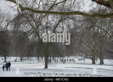 Green Park, London, UK. 1 March 2018. After overnight snow continuing into morning rush-hour, an Arctic wind empties London’s tourist haunts. Daffodils grow through the snow in Green Park. Credit: Malcolm Park/Alamy Live News. Stock Photo