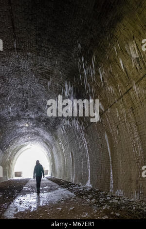 Peak District, Derbyshire, UK. 1st March, 2018. The 'Beast from the East' cold snap caused these icicles to form in Ashbourne Tunnel on the Tissington Trail, Peak District, Derbyshire Credit: Robin Weaver/Alamy Live News Stock Photo