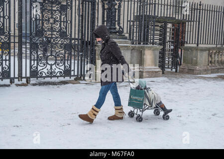 Belfast, Northern Ireland, UK. 1st March, 2018. Heavy wind and snow make pushing a pram hard going outside Belfast Courts Credit: Anthony Lynn/Alamy Live News Stock Photo