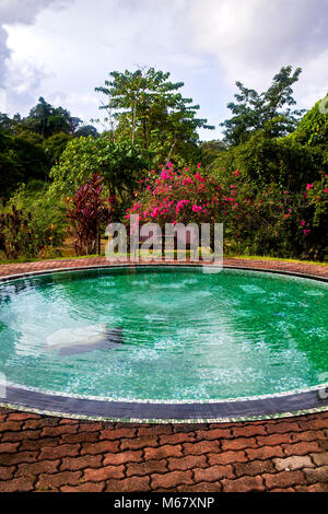 Small green swimming pool in a yard Stock Photo
