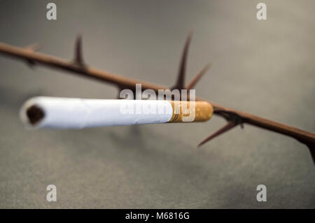 Smoking poisons the people, it makes people sick and cancer, brooches for smoking cessation campaigns and posters, Stock Photo