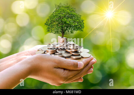 hand Coin tree The tree grows on the pile. Saving money for the future. Investment Ideas and Business Growth. Green background with bokeh sun Stock Photo