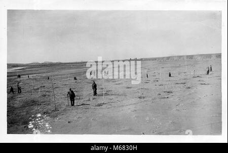 Civilian Conservation Corps (ccc) Planting Trees, Ca. 1935. Some Wear 