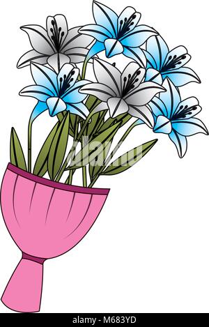 elegance delicate bouquet lilies flowers wrapped Stock Vector