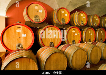 Wineries Zini, Bardolino, Garda lake, Province of Verona, Italy Stock Photo