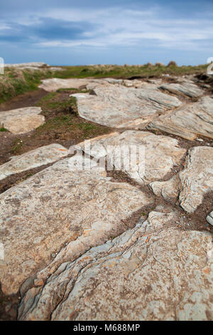 Slate strata at Tintagel Castle ruins in Cornwall, Uk. Stock Photo