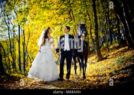 Happy walk of adorable newlyweds. They are tenderly holding hands and talking while going with the black horse along the autumn forest. Stock Photo