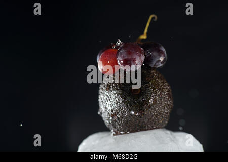 Grapes are fruits of the grapevine, individual fruits are called grape berries Stock Photo