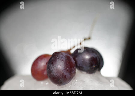 Grapes are fruits of the grapevine, individual fruits are called grape berries Stock Photo