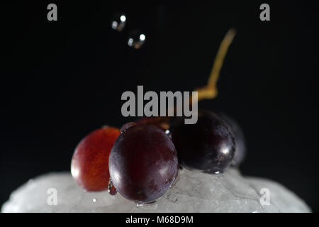 Grapes are fruits of the grapevine, individual fruits are called grape berries Stock Photo