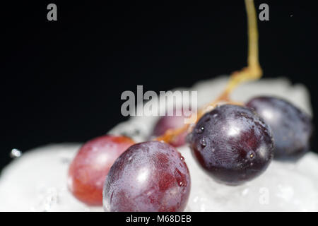 Grapes are fruits of the grapevine, individual fruits are called grape berries Stock Photo