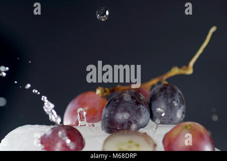 Grapes are fruits of the grapevine, individual fruits are called grape berries Stock Photo