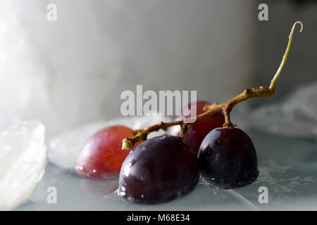 Grapes are fruits of the grapevine, individual fruits are called grape berries Stock Photo