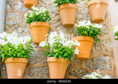 Pots hanging on the wall with flowers in the city of Valldemosa in the Balearic Islands Spain Stock Photo