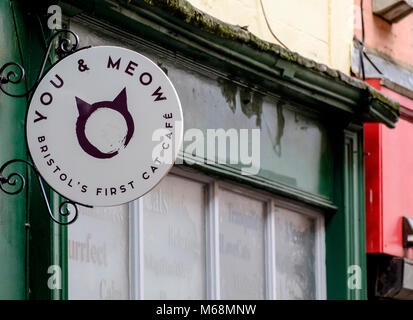 You & Meow a Cat cafe  in Bristol UK Stock Photo