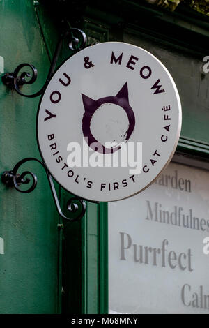 You & Meow a Cat cafe  in Bristol UK Stock Photo